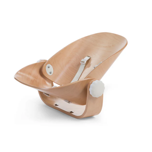 Beaba Evolu Newborn Seat