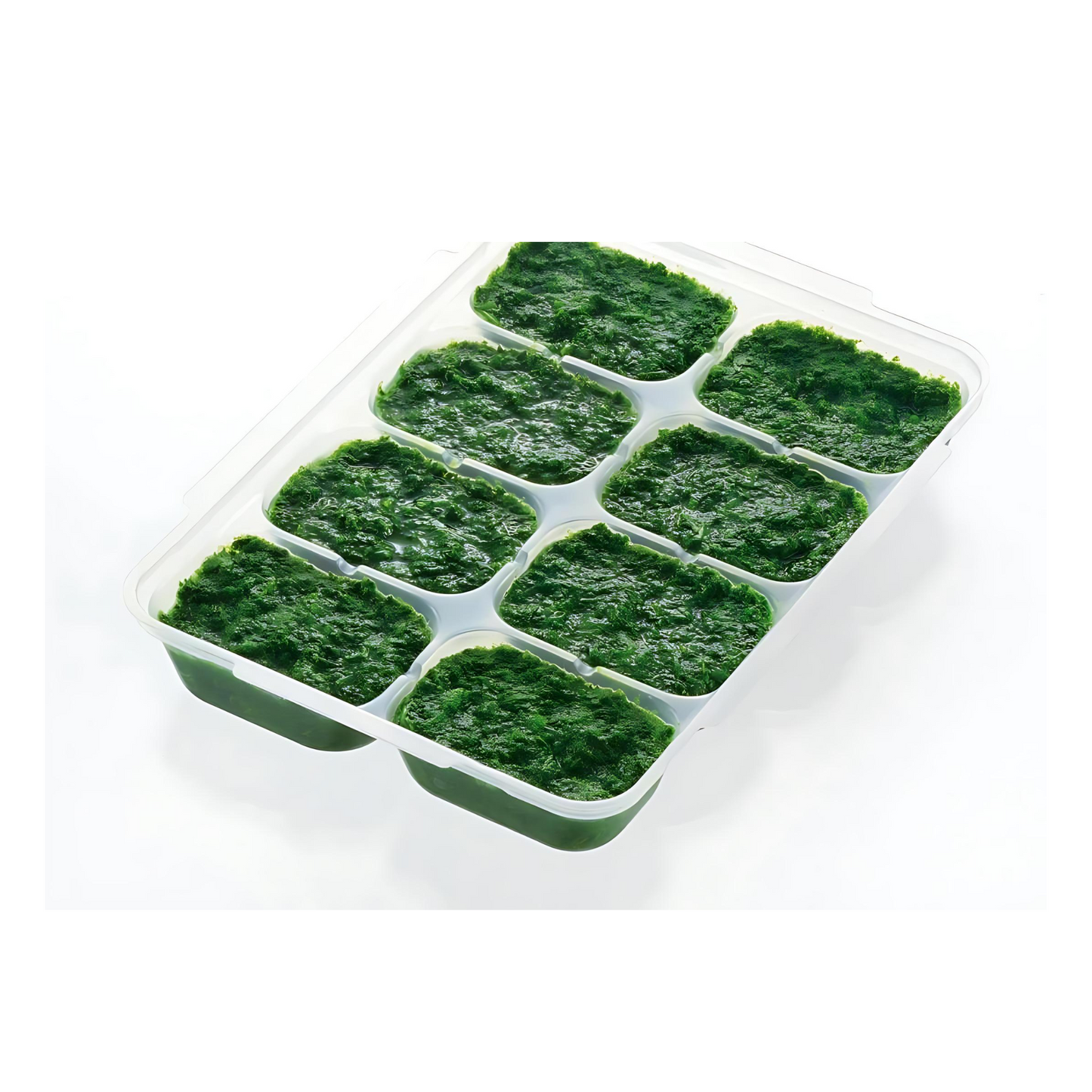 Richell Baby Food Freezer Tray